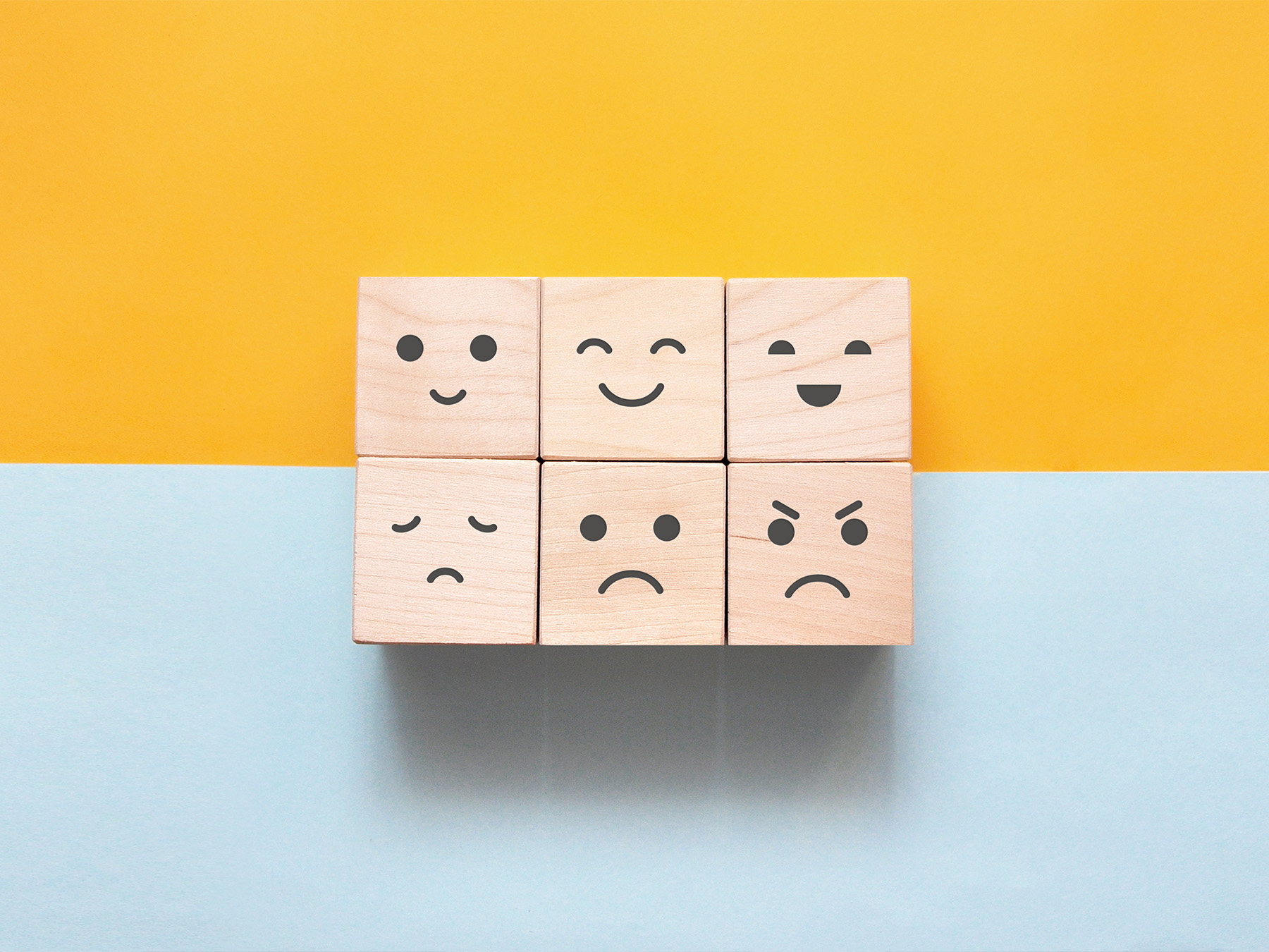小論文では、感情的な言葉を使わない