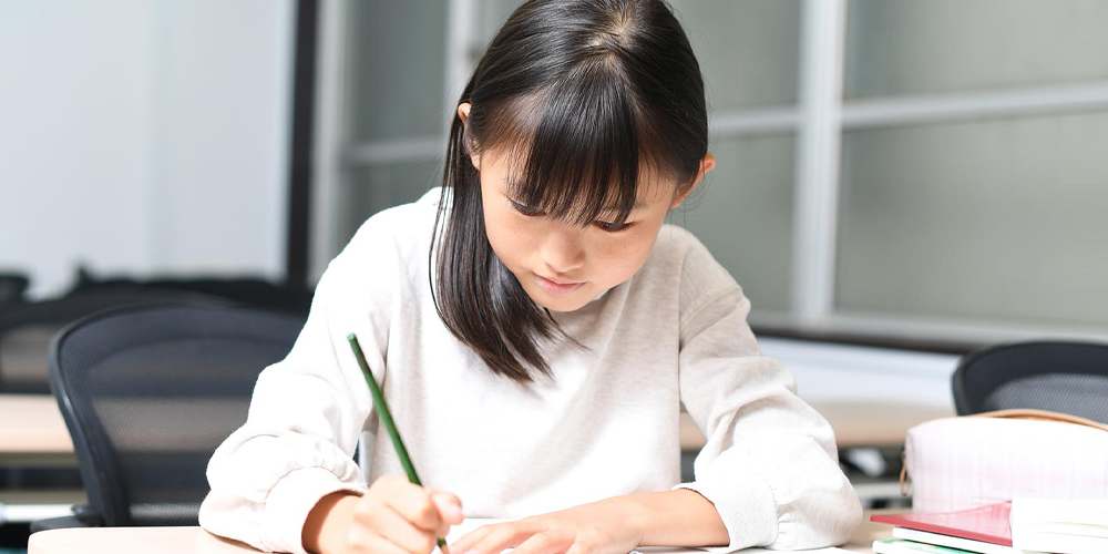 「白藍塾小論文入門クラブ2025」募集開始！